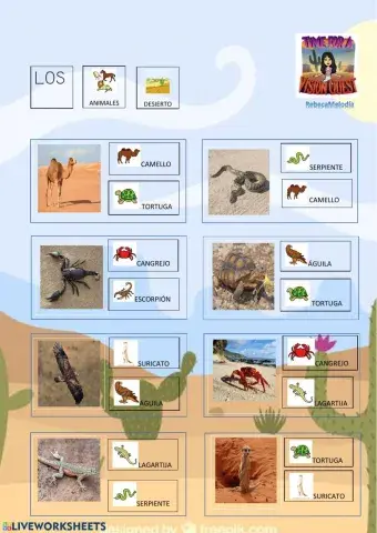 Animales del desierto