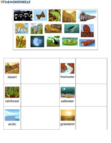 Matching Animals and Habitats