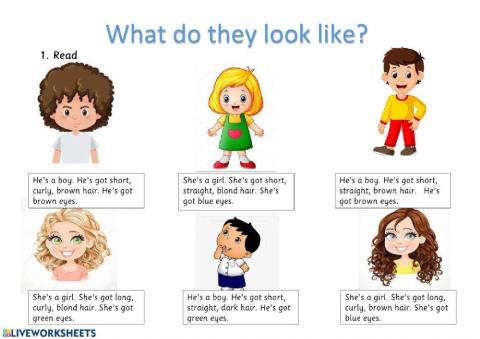 What do they look like?