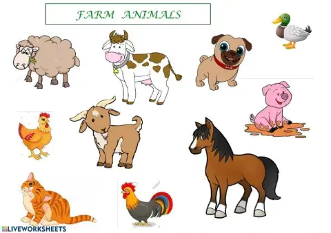 Farm animals