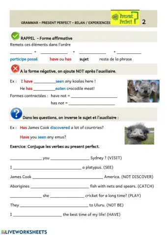 Present perfect - negative - questions