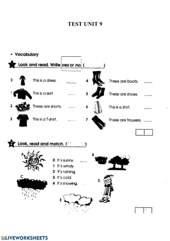 Present continuous, vocabulary