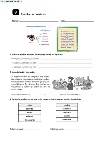 Familias de palabras