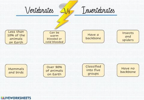 Vertebrates vs invertebrates