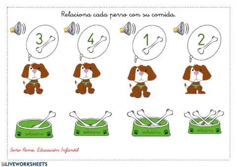 Asociación número cantidad