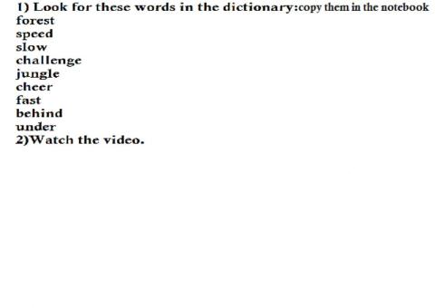 The hare and the tortoise