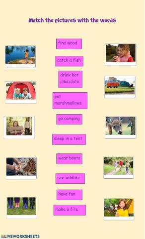 Match the words and the pictures! 