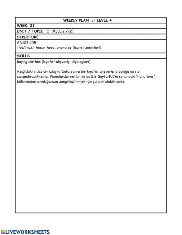 Level 4 Week 21 weekly plan
