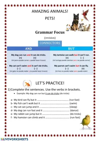 Amazing Animals! Pets! AND & BUT