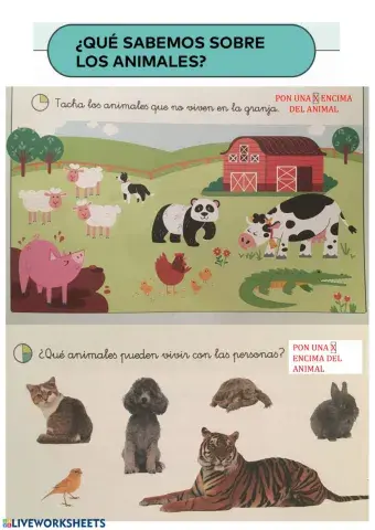 ¿donde viven los animales?