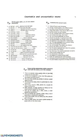 Countable and Uncountable nouns