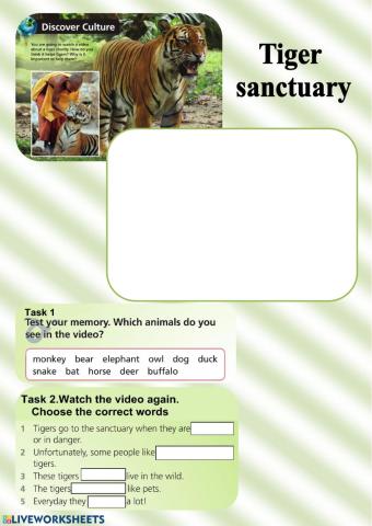 Tiger sanctuary