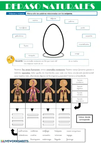 Repaso naturales - Así somos