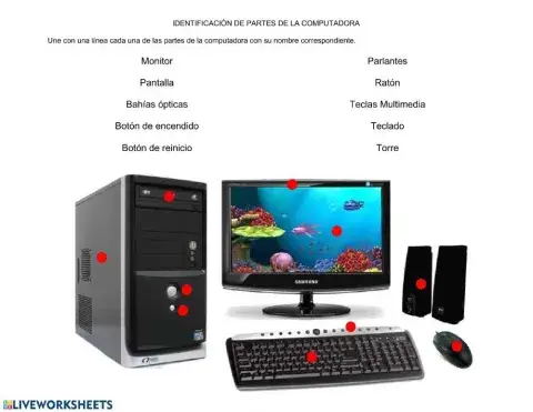 Identificación partes de la computadora