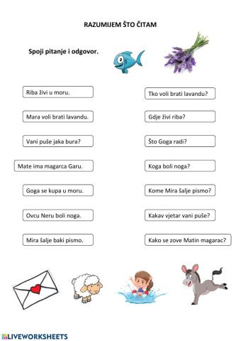 Razumijem što čitam