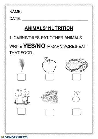 Animals nutrition