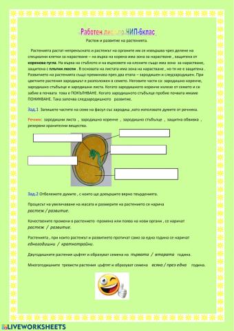 Растеж и развитие на растенията