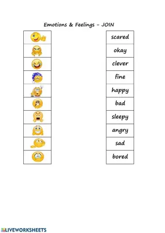 Emotions and feelings - JOIN