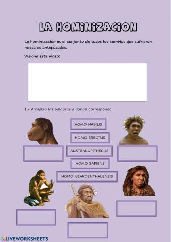 La hominización