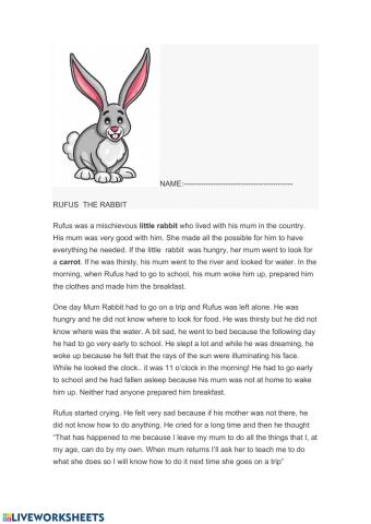 Rufus the rabbit