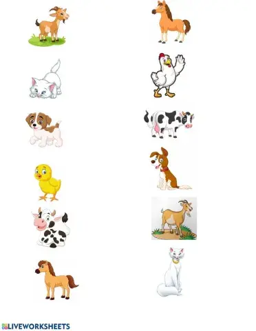 Parent and Baby Animals