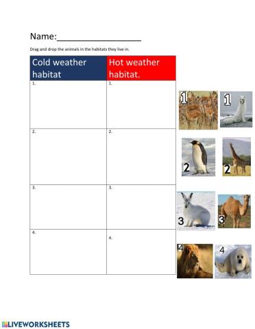 Hot and cold habitat