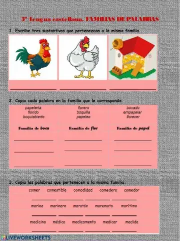 Familias de palabras