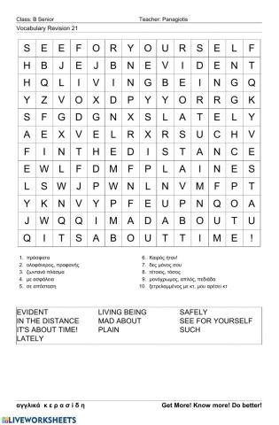 Bsenior Wordsearch21