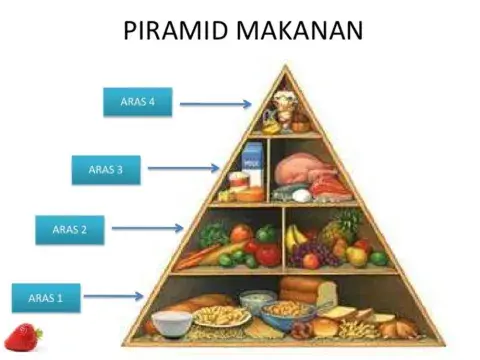 Piramid makanan
