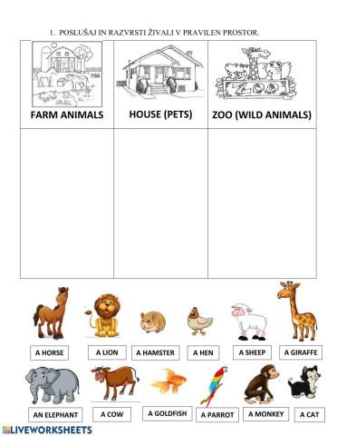 Animals - pet, farm, ZOO