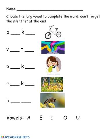Long vowel practice