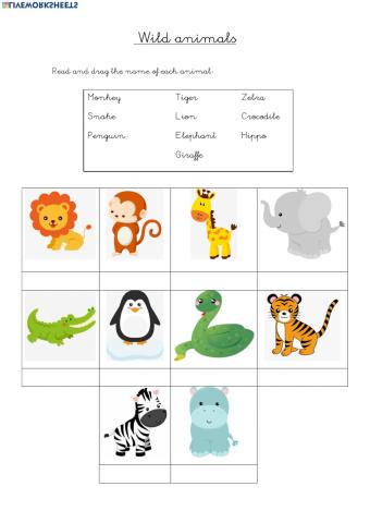 Read and drag. Wild animals