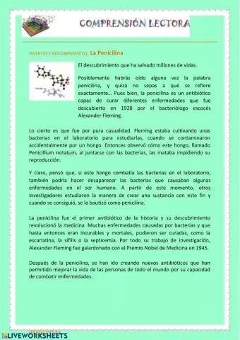 Lectura comprensiva