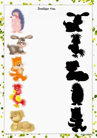 Знайди тінь