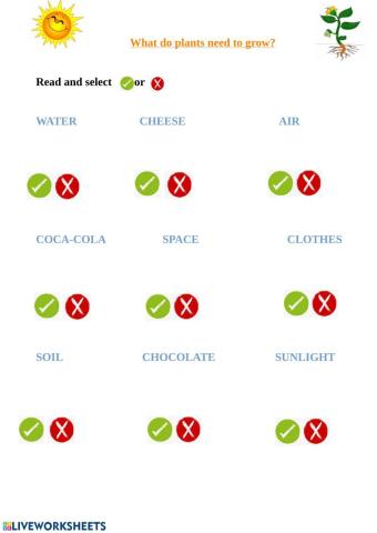 What do plants need to grow?