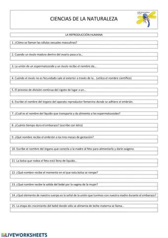 Fecundación, embarazo y parto