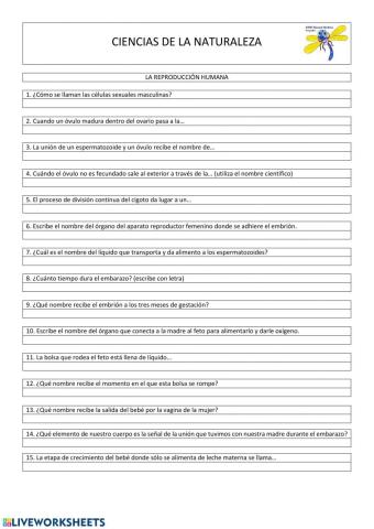 Fecundación, embarazo y parto