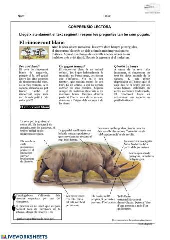 Comprensió Lectora Rinoceront