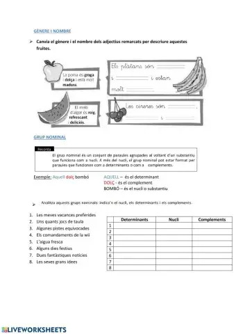 Gènere i nombre - paraules primitives i derivades 1