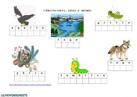 Gli animali del bosco