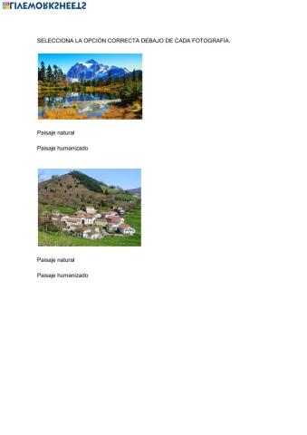 Paisajes de interior