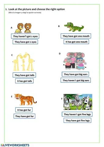 Wild animals has got have got