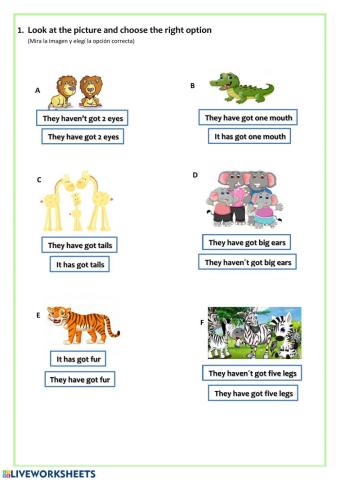 Wild animals has got have got