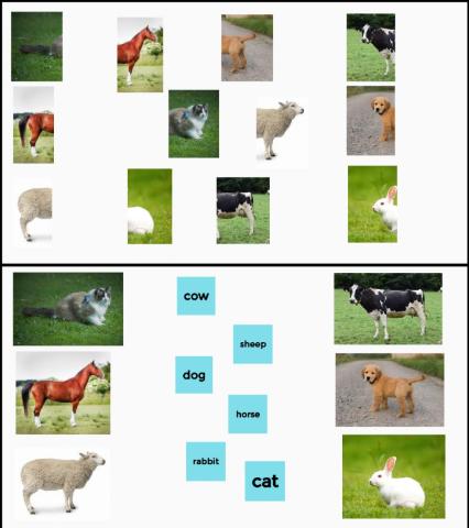 Farm Animals drag and drop