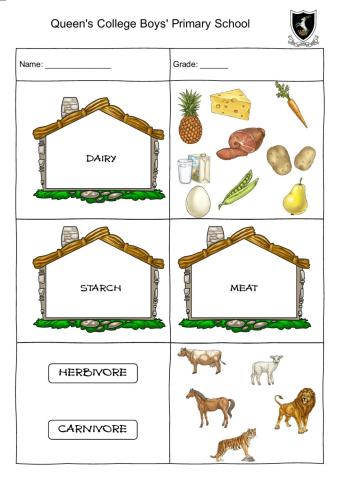 Natural Science - drag and drop
