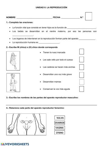 Función de reproducción