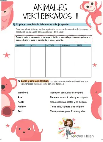 Animales Vertebrados II