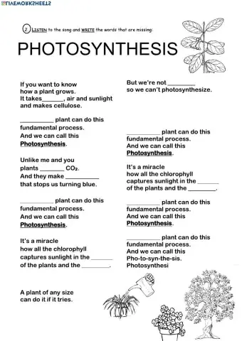 Photosynthesis