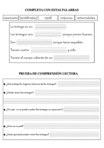 Completa con palabras 4