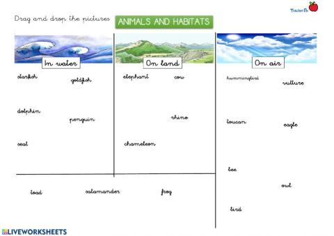 Animals and habitats